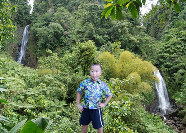 01-29-08_ Trafalgar Falls ٲ-10001.jpg