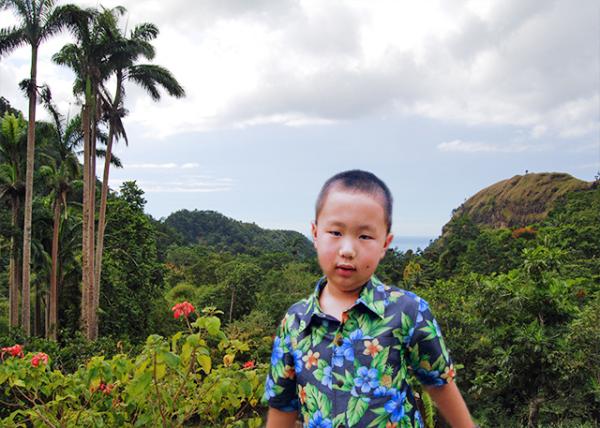 01-29-08_ Springfield Valley, the View of the Antrim Valley down to the Caribbean Sea ɽȡ͸ԶձȺ-10001.jpg