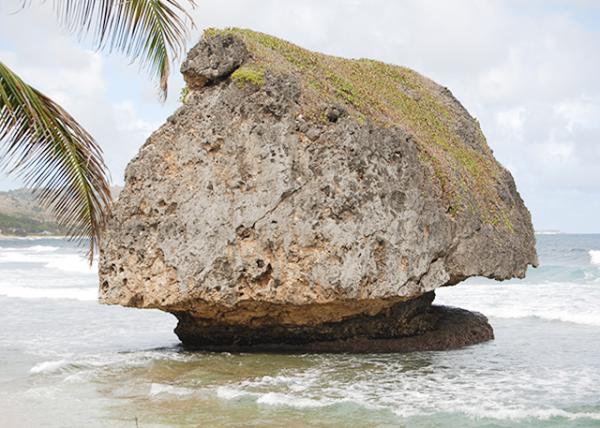 01-30-08_ Barbados-Bathsheba Beach_Mushroom Shaped Rock Ģ״ʯ-10001.JPG