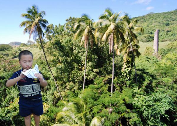 01-31-08_ St. Kitts-Rainforest & Fields of Swaying Sugarcane Ꭷcuҷĸ-10001.jpg