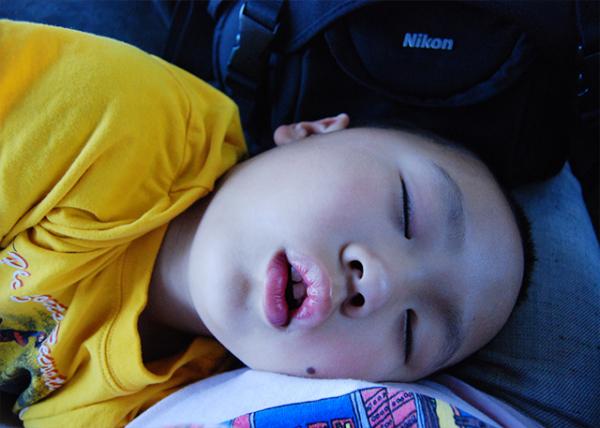 02-02-08_ Nap0001.jpg