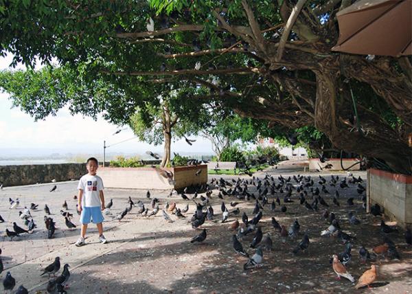 02-05-08_ San Juan-Pigeon's Park ӹ԰0001.JPG