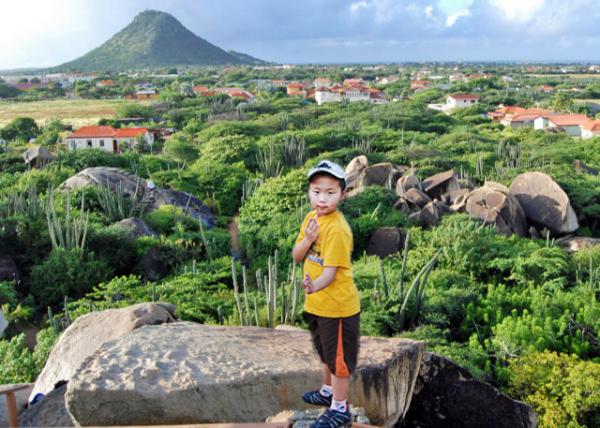 01-26-09_ Aruba Hooiberg ɲݶɽ-10001.jpg