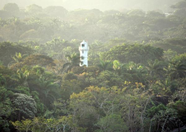 01-28-09_ Lighthouse above Tropical Rain Forest ȴϵ0001.JPG