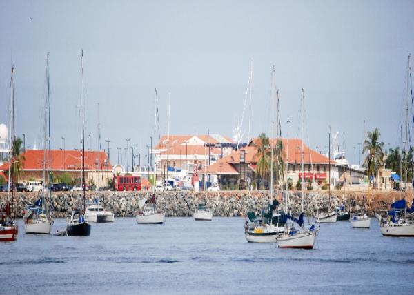 01-28-09_ Balboa Harbor  ͲǸ0001.JPG