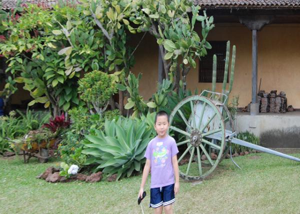 01-29-09_ Natl Museum of Costa Rica_Ox Cart ˹ӹҲݡţ-10001.JPG
