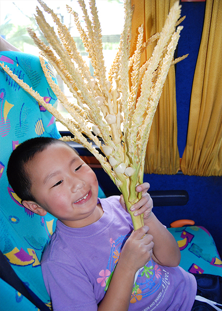 01-29-09_ Plant_Coconut Flower.jpg