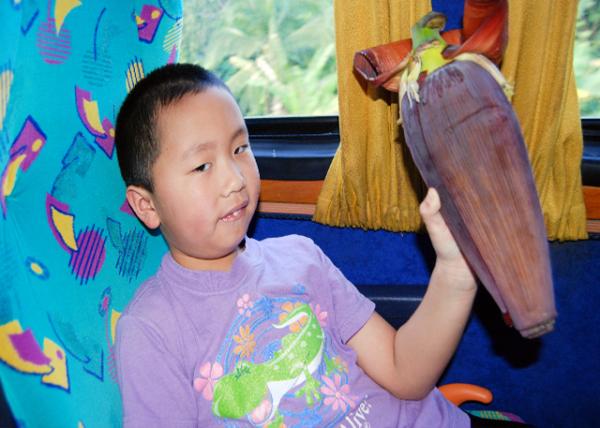 01-29-09_ Plant_Plantain Flower.jpg