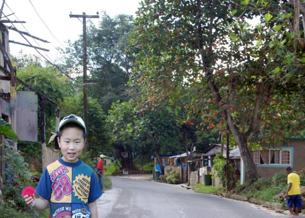 01-31-09_ Ocho Rios Fern Gully Rainforest ާ-10001.jpg