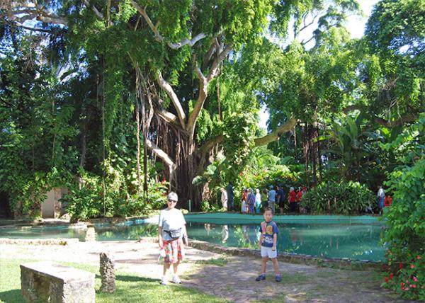 01-31-09_ Shaw Garden Park_1.jpg