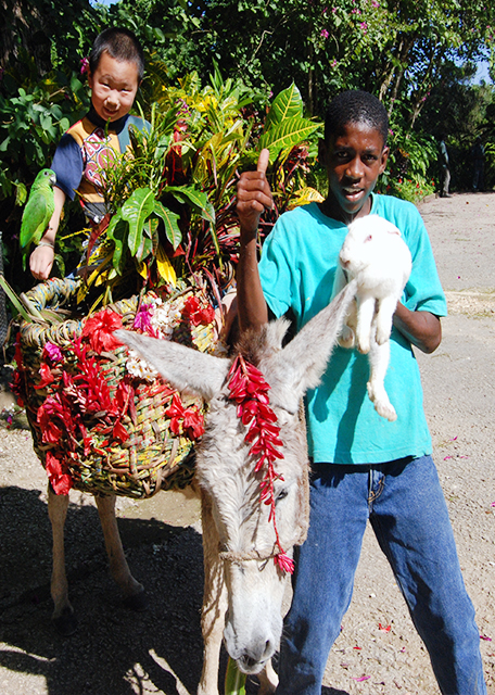 01-31-09_ Ocho Rios Shaw Park_Kicking out of the Donkey0001.JPG
