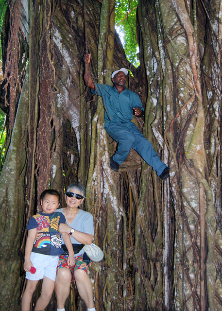 01-31-09_ Banyan Tree_Flying Man, the Street Performer ˡͷ-20001.jpg