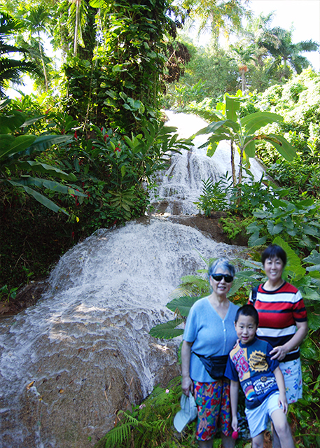 01-31-09_ Ocho Rios Falls  Shaw Garden Park ФԷ԰ٲ-20001.jpg