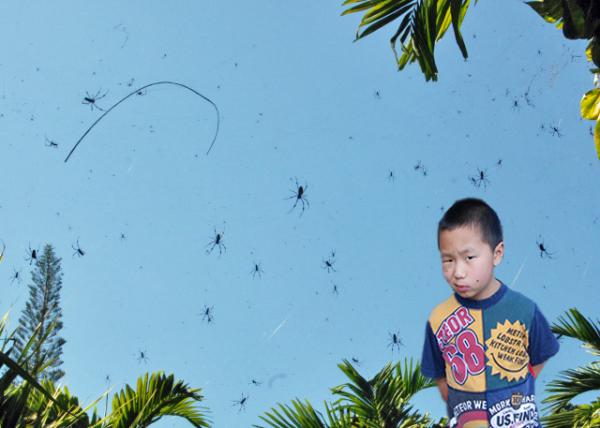 01-31-09_ Tropical Spider Web-10001.jpg