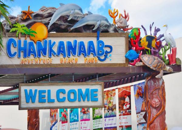 2014-08-04_Chankanaab NP кҹ԰-30001.JPG