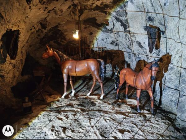 1757222234238491.png 图片2-1.png