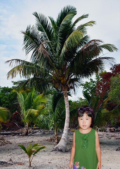 2014-08-05_Coconut Tree-10001.jpg