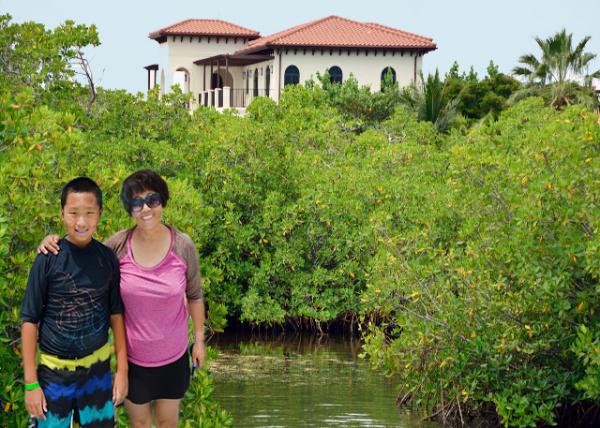 2014-08-07_Canal_Mangroves reduce coastal erosion and shelter wildlife ּ˺ʴҰֲ-30001.JPG