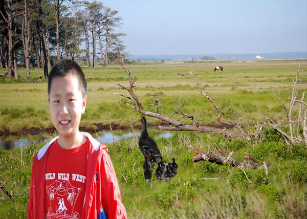 05-26-12_ Dawn @ Chincoteague Natl Wildlife Refuge-9.jpg