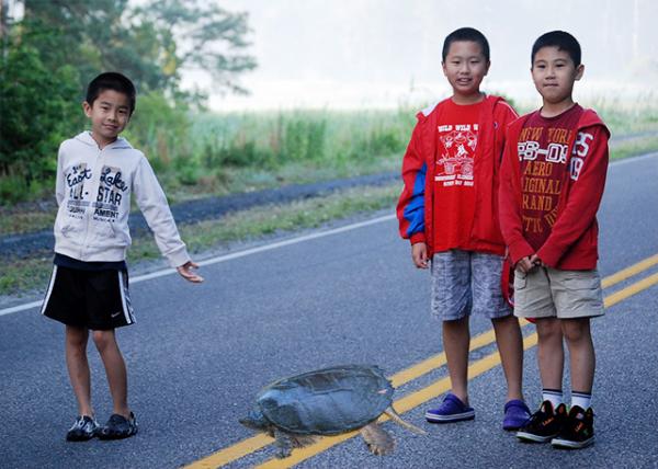 05-26-12_ Aaron-Aiden-Kevin & Snapping Turtle.jpg