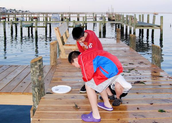 05-26-12_ Crab Talk.jpg