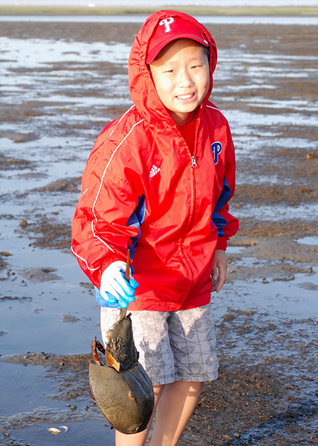 05-26-12_ Aiden & Horseshoe Crab.jpg