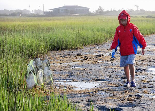 05-26-12_ Chincoteague Natl Wildlife Refuge_Brackish Wetlands.jpg