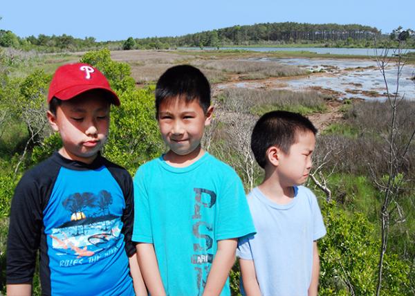05-27-12_ 05-27-12_ Freshwater Oasis in Assateague's Marshes-10001.jpg