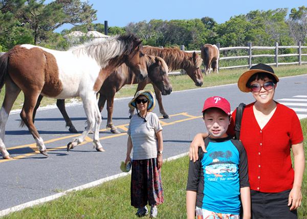 05-27-12_2012-05-27_Feral Horse @ Assateague Natl Seashore.jpg