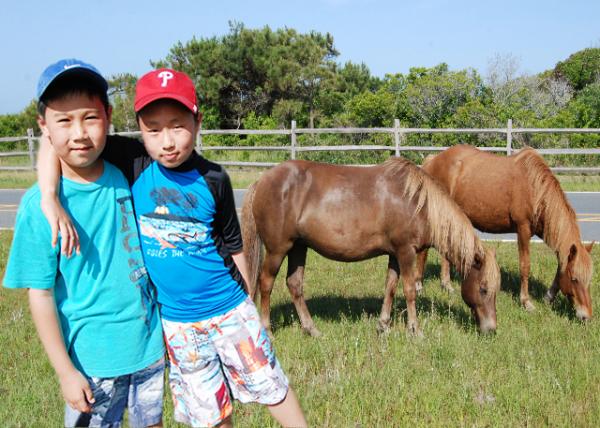 05-27-12_ Wild Horses-10001.jpg