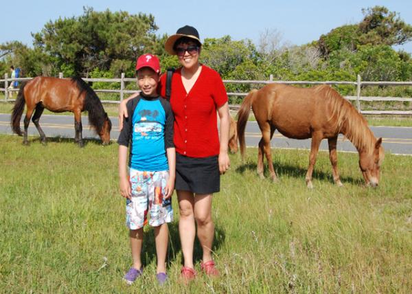 05-27-12_ Wild Horses-20001.jpg