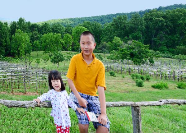 2014-05-24_Forest 0001.JPG