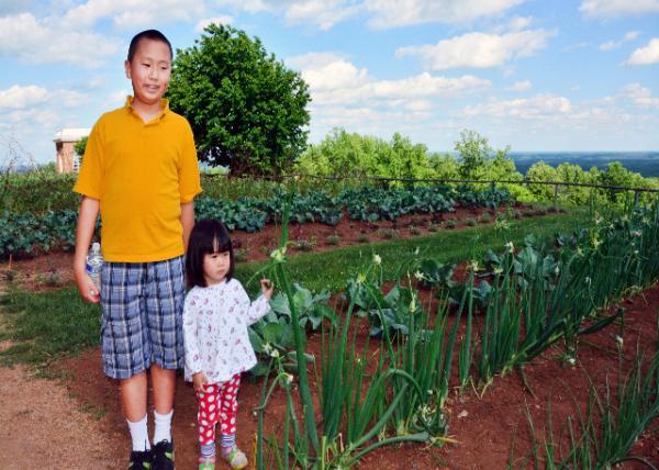2014-05-24_Vegetable Garden ߲԰-20001.JPG