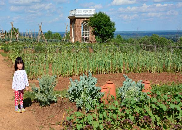 2014-05-24_Vegetable Garden & Pavilion ߲԰ͤ0001.JPG