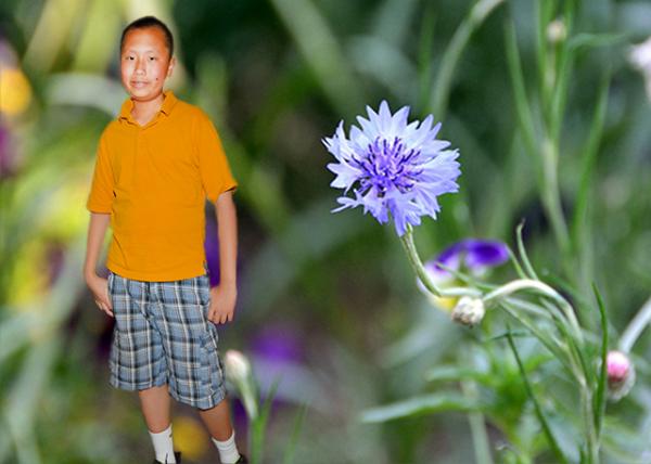 2014-05-24_Flower_Stoke's Asterʸմ-10001.jpg