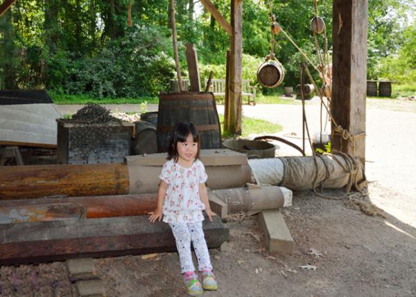 2014-05-25_Jamestown Fort ղķʿ-10001.JPG