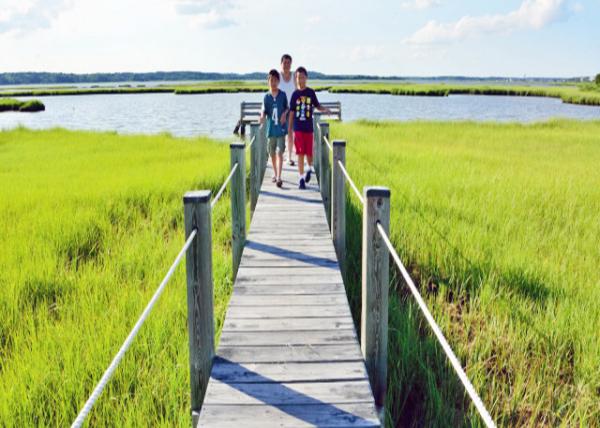 2013-08-04_Delaware Seashore SP ԰-40001.JPG