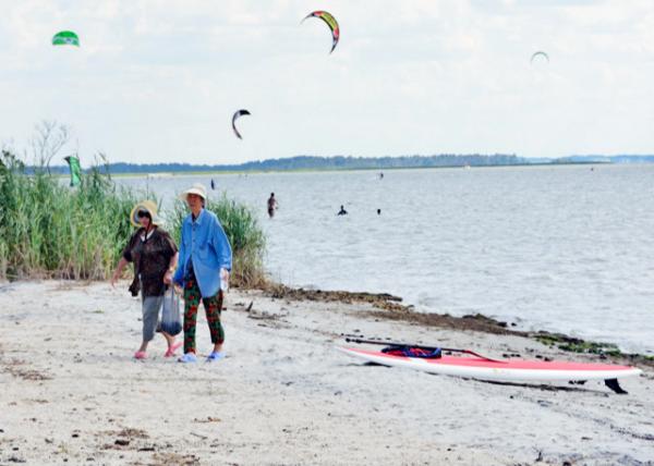 2013-08-04_Grandmas_Common Reed & the Short Form of Smooth Cord «έ̻ײ-40001.JPG