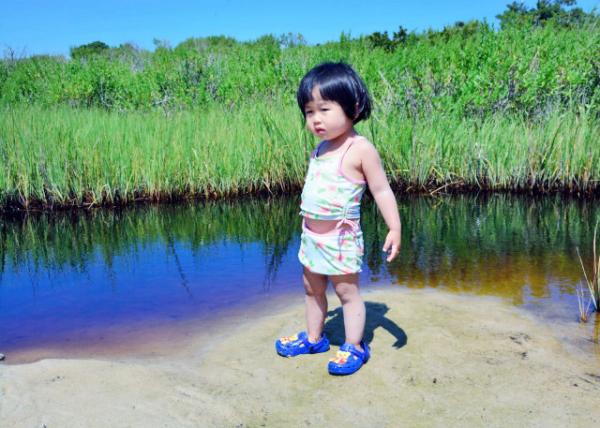 2013-08-04_Rehoboth Bay_Marshes, Bogs, Swamps, & Bottomland Forests ʪ̶صɭ-340001.JPG