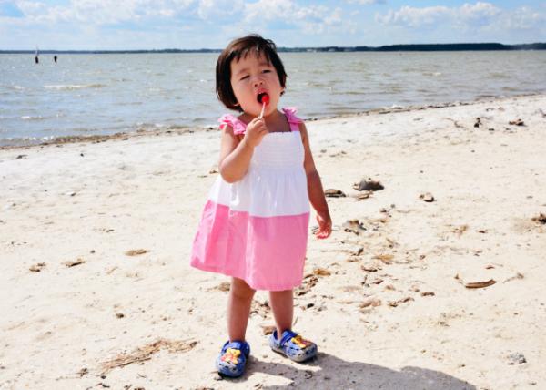 2013-08-04_Shoreline along the Rehoboth Bay ˹ذ-390001.JPG