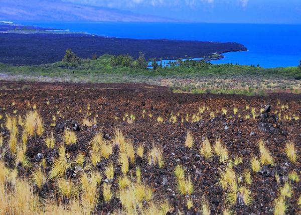 10-02-07_ Kona Coast-20001.jpg