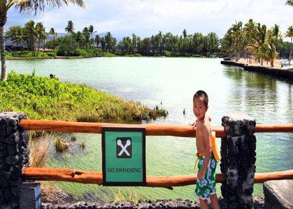 10-02-07_ Kalahuipua'a Fishponds.jpg