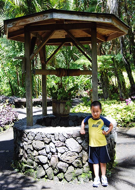 10-03-07_ Hawaii Tropical Botanical Gardens.jpg