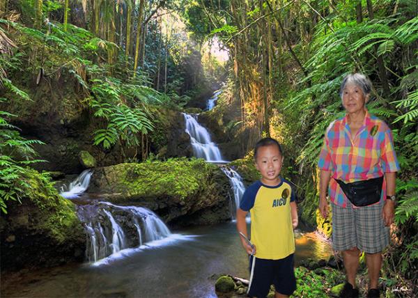 10-03-07_ Hawaii Tropical Botanical Garden_Onomea Falls-10001.jpg