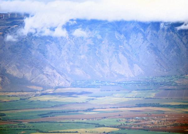 10-05-07_ Sugar Cane Fields.jpg