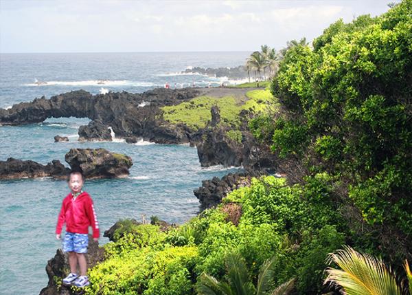 10-06-07_  Wainapanapa St Park-10001.jpg