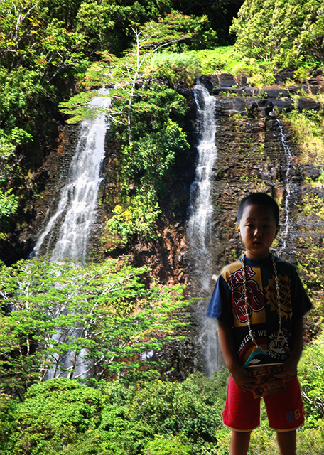 10-08-07_ Falls_Opaeka'a Falls Ϻٲ-10001.jpg