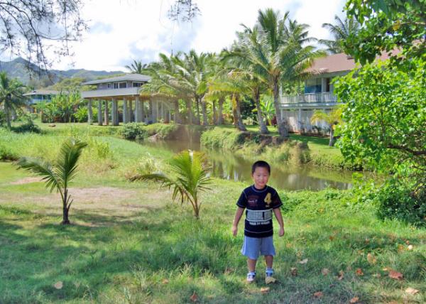 10-09-07_ Moloaa Bay Residential Houses Ҹ塤0001.JPG