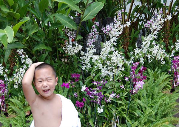 09-28-07_ Orchid Tree @ Waikiki Beach (̲-20001.jpg