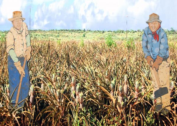 10-10-07_ Dole Plantation-10001.JPG